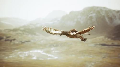 Videohive - Extreme Slow Motion Shot of Eagle - 35608092 - 35608092