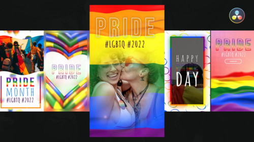 Videohive - LGBTQ Instagram Stories Pack - 35655885 - 35655885