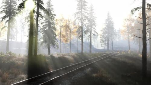 Videohive - Empty Railway Goes Through Foggy Forest in Morning - 35763146 - 35763146