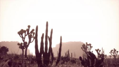 Videohive - Sunlight Ray Shooting Across the Desert Sky at Sunset - 35763781 - 35763781