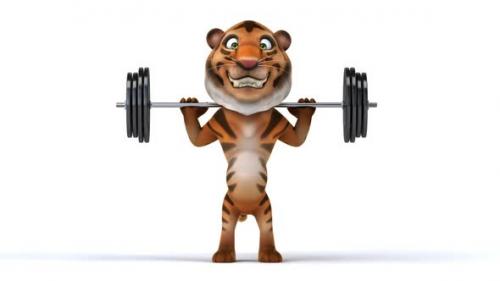 Videohive - 3D cartoon tiger doing squats - 35784548 - 35784548