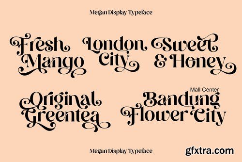 Megan Display Font