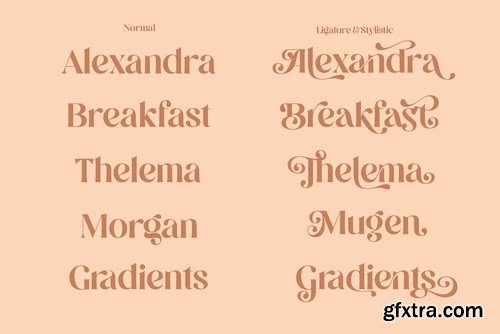 Megan Display Font