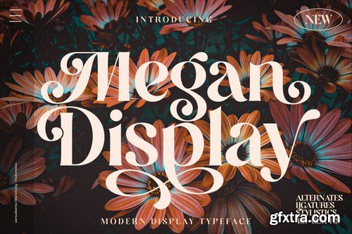 Megan Display Font