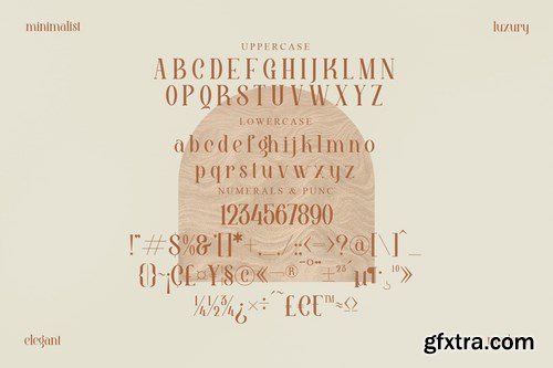 Barjiah Stylish Serif Font