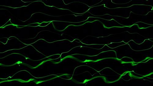 Videohive - Abstract Green Smooth Line Wave Motion Animated On Black Background - 35757412 - 35757412