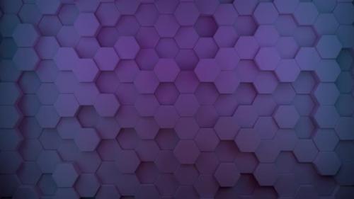 Videohive - Looping Background Purple and Blue Colorful Shader Effect Moving Objects - 35649279 - 35649279