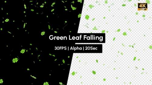 Videohive - Epic Green Leaf or Leaves Falling 4K - 35655476 - 35655476