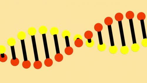 Videohive - Animation of a digital 3d red, yellow and black double helix DNA - 35623520 - 35623520