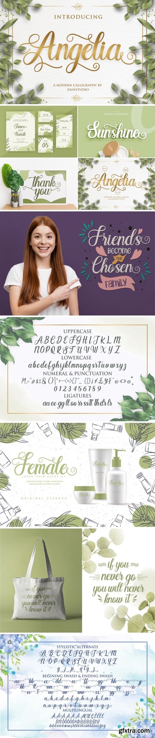 Fontbundles - Angelia Modern Script Font 476861