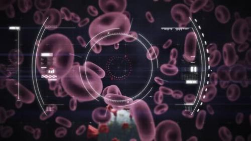 Videohive - Animation of scope scanning and checking Coronavirus Covid-19 cell through blood cells on black back - 35624232 - 35624232