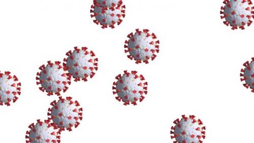 Videohive - Animation of multiple cells of coronavirus spending on white background - 35624242 - 35624242