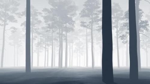 Videohive - Pine, beautiful forest in the fog. - 35636865 - 35636865