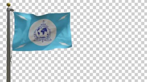 Videohive - Interpol Flag on Flagpole with Alpha Channel - 4K - 35637150 - 35637150