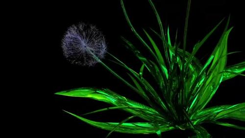 Videohive - Dandelion Seeds Botanical 3D Rendering - 35826873 - 35826873