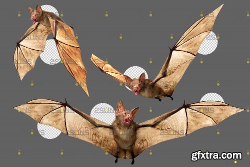 32 Halloween overlay Photoshop overlay Realistic bat clipart