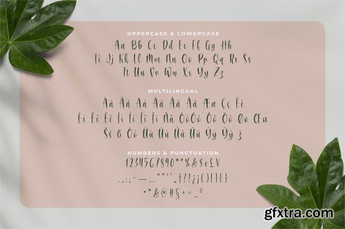 Reyfane Font