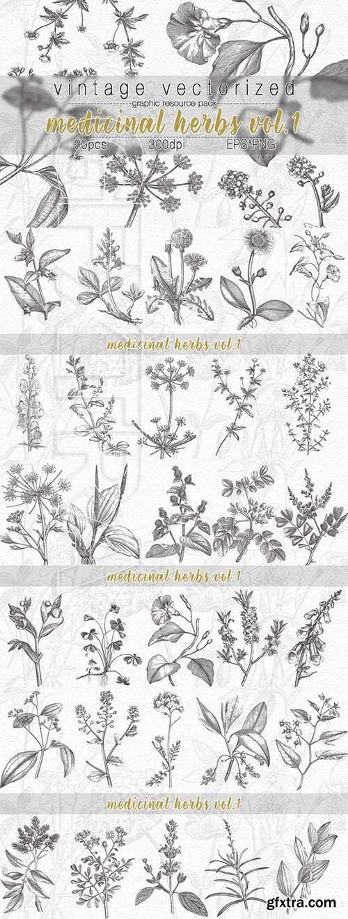 VintageVectorized- Herbs Clipart 2532443