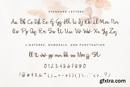 Lulla Font - A Lovely Script Font 3900492