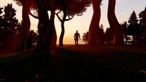 Videohive - Young Man Walking Alone in the Forest at a Sunset Landscape - 35804226 - 35804226