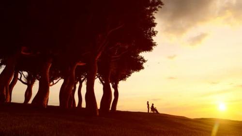 Videohive - Disabled Man in Wheelchair at Sunset Landscape and Young Daughter Helping Him - 35804227 - 35804227