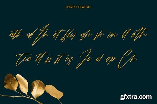 Blitz Pops Signature Script Font