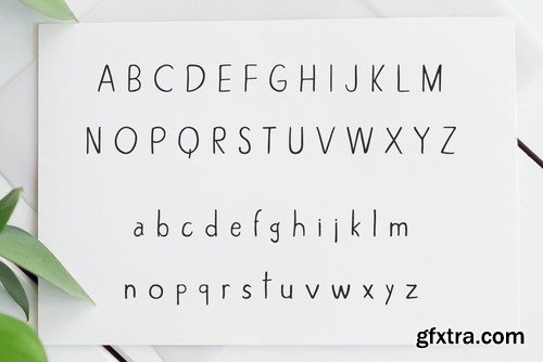 Alexiss Sans Serif Font