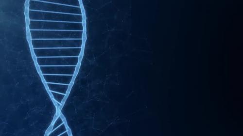 Videohive - Dna Molecule Background with Copy Space for Scientific and Biotechnology Project - 35808172 - 35808172