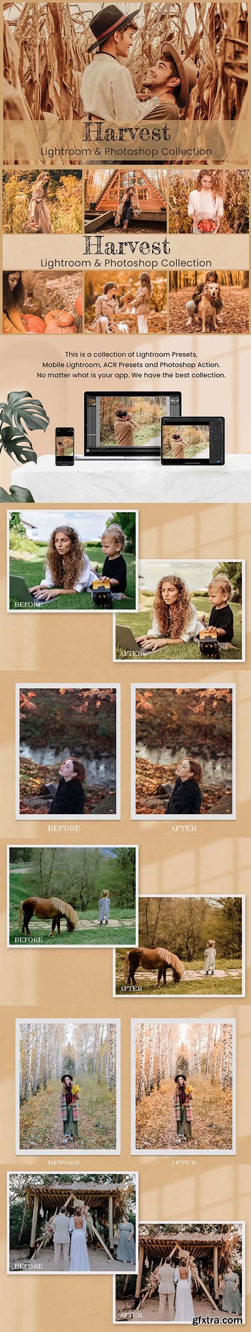 CreativeMarket - Harvest Photoshop Actions Lightroom 6911081