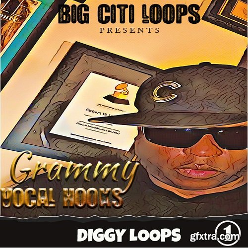 Diggy Loops Grammy Vocal Hooks WAV