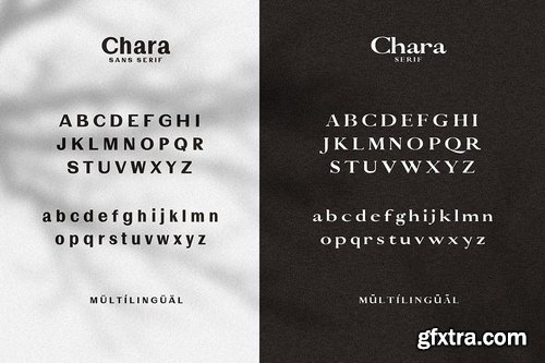 Chara - Sans Serif &amp; Serif Duo 3980450