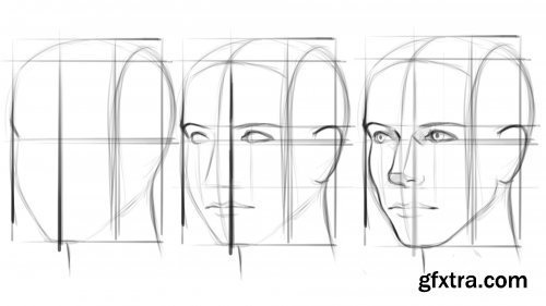 Drawing: Sketching the Portrait in 3 Quarter View