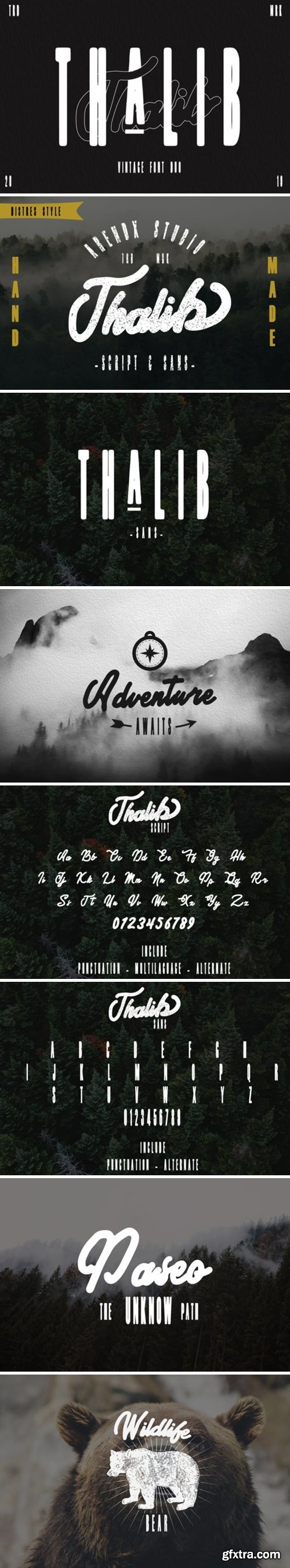 Thalib - Font Duo 293597