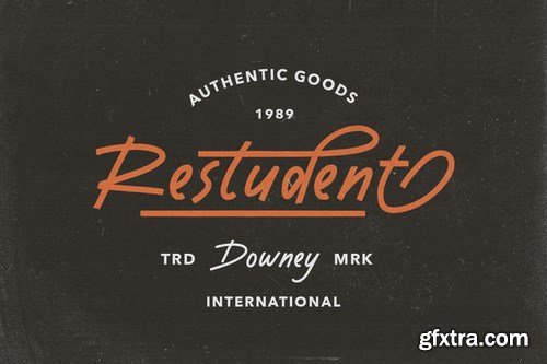 Dustyland Script Font