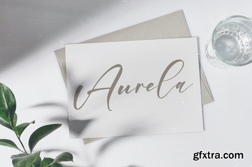 Amstera Beautiful Script Font