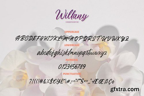 Handwritten Script - Willany Signature