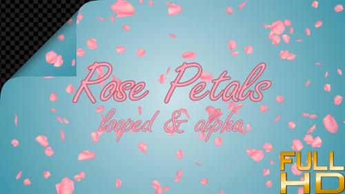 Videohive - Pink Rose Petals For Valentines Day - 35920107 - 35920107