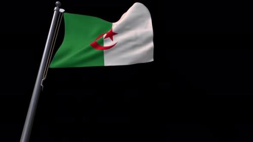 Videohive - Algeria Flag With Alpha Channel 4K - 35938912 - 35938912