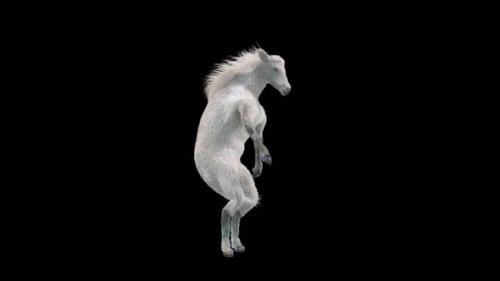 Videohive - 30 White Horse Dancing 4K - 35881332 - 35881332