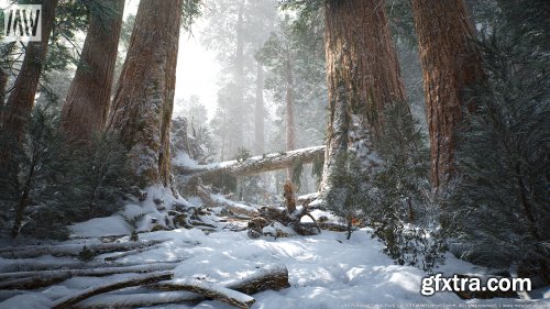 Unreal Engine – MW Mountain Redwood Trees Forest Biome