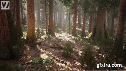 Unreal Engine – MW Mountain Redwood Trees Forest Biome