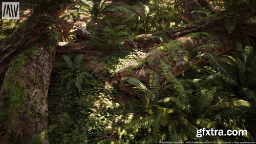 Unreal Engine – MW Mountain Redwood Trees Forest Biome