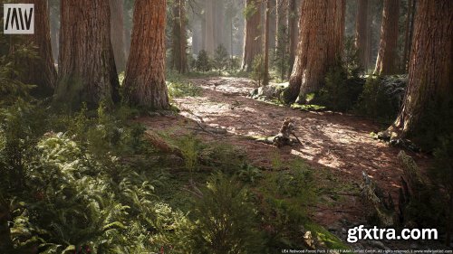 Unreal Engine – MW Mountain Redwood Trees Forest Biome