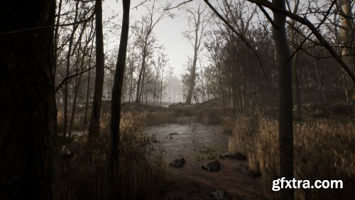 Unreal Engine – Procedural Forest