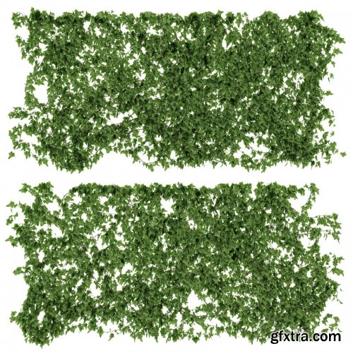 Cgtrader - Wall of lvy Leaves V2