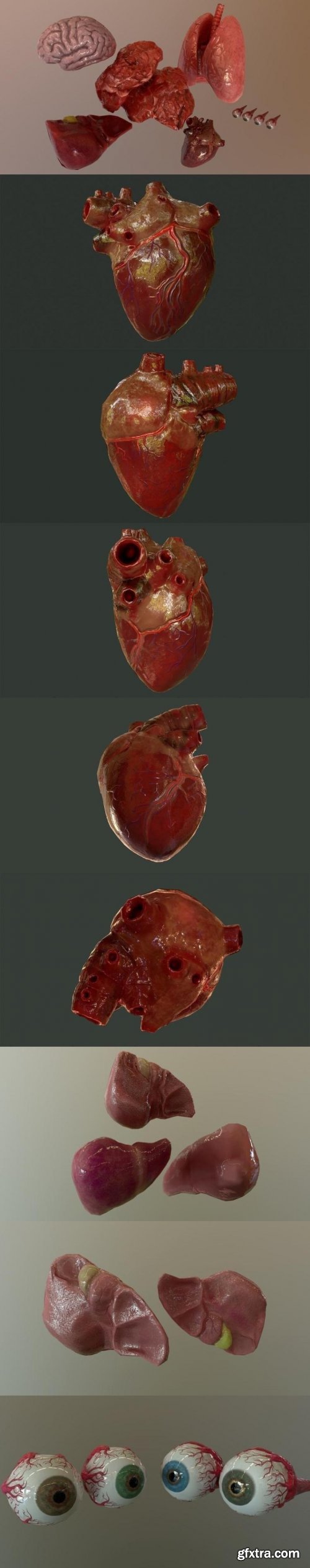 Unreal Engine – Internal Organs Collection