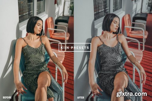 CreativeMarket - 5 LUNA LIGHTROOM PRESET 6450004