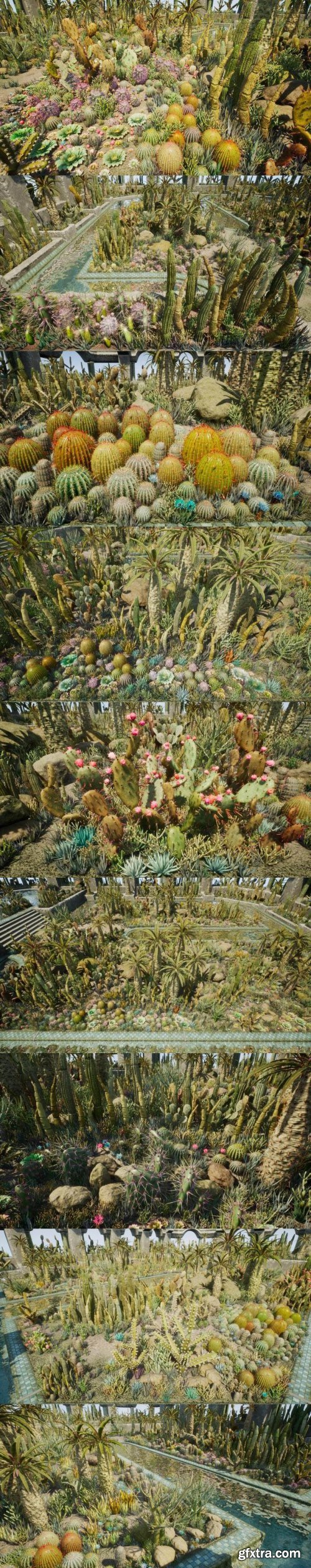 Unreal Engine – Cactus Plants - Desert Garden