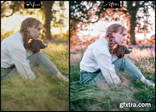 Film Luts - Photoshop Actions & Lightroom Presets