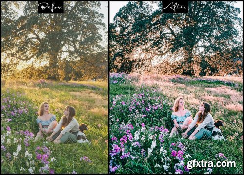 Film Luts - Photoshop Actions & Lightroom Presets